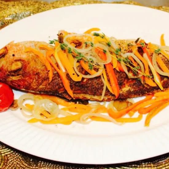 Red Snapper Fish