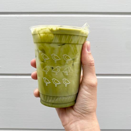 Iced Matcha Latte
