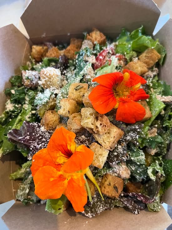 VEGAN KALE CAESAR