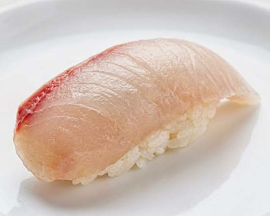 Yellowtail