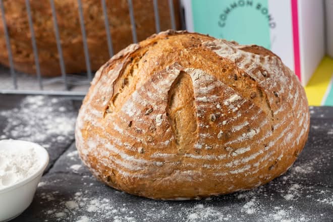 Sprouted Sourdough