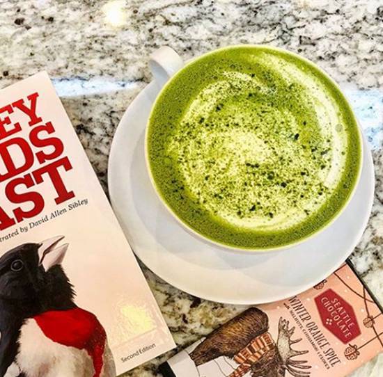 Single Hot Matcha