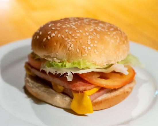 Spam Burger