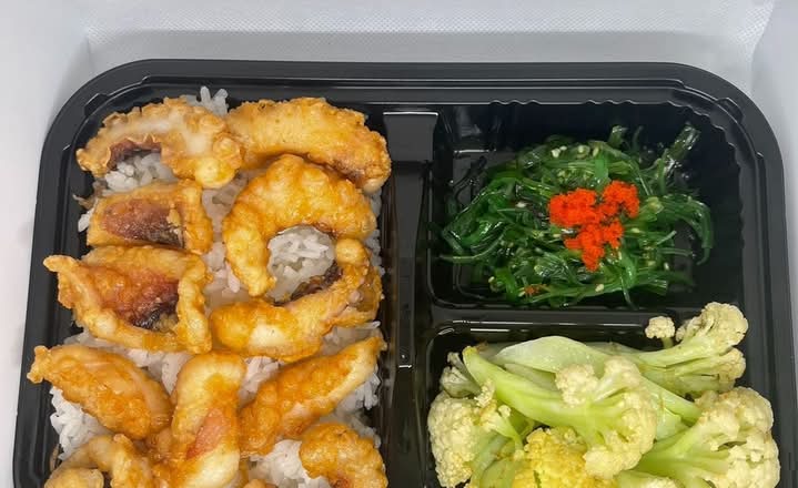 Octopus Bento