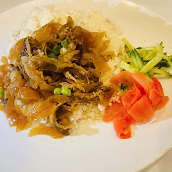 Gyudon Beef Bowl