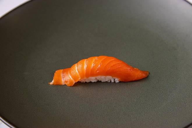 Salmon