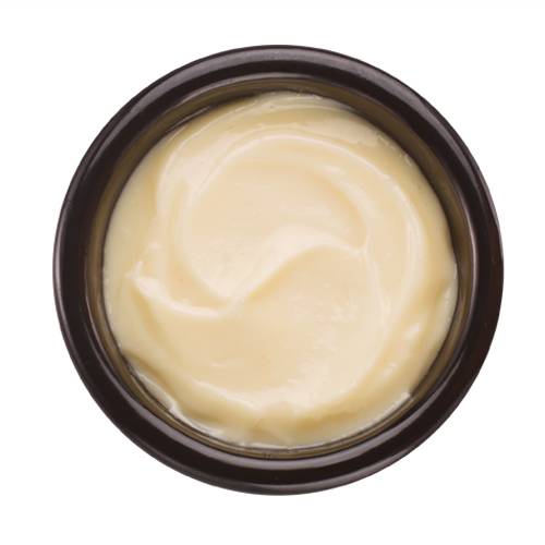 Mayo-Style Sauce Packet [100.0 Cals]