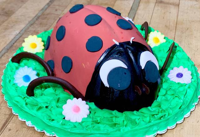 Lady Bug Cake