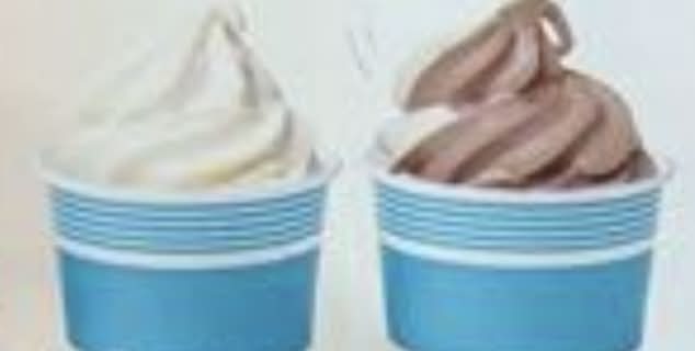 Ice Cream in a Cup