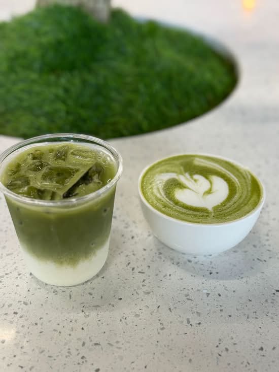 Matcha Latte