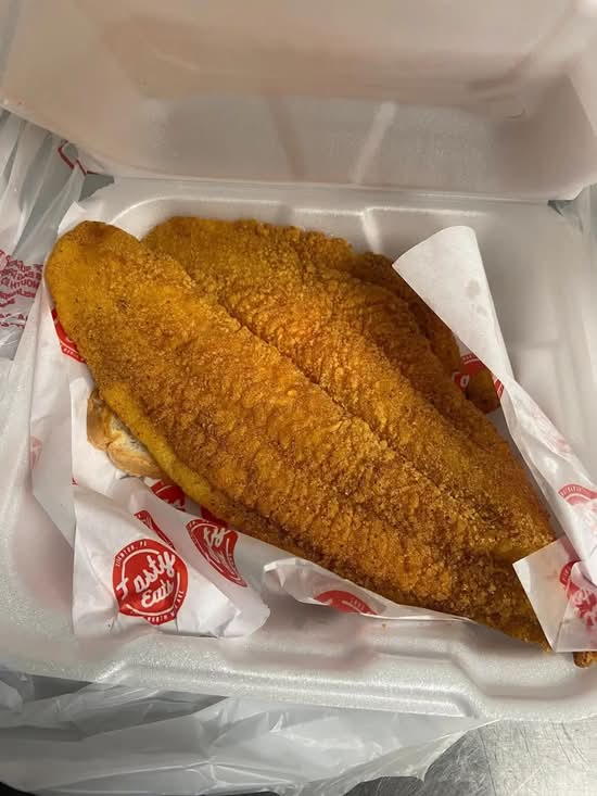 "Big Back" Catfish