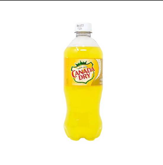 Canada Dry Pineapple