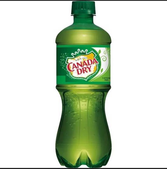 Canada Dry Ginger Ale