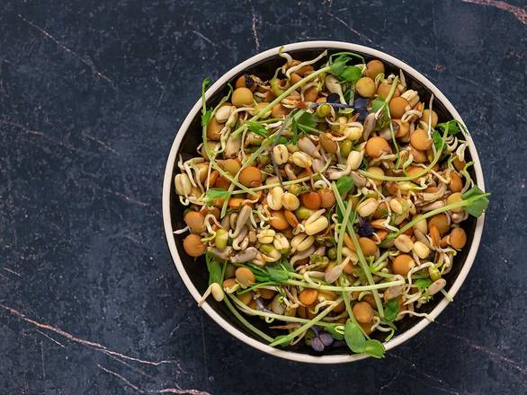 SPROUT CHAAT