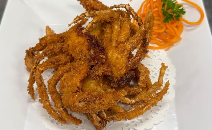 Fried Spider App