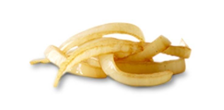 Grilled Onions