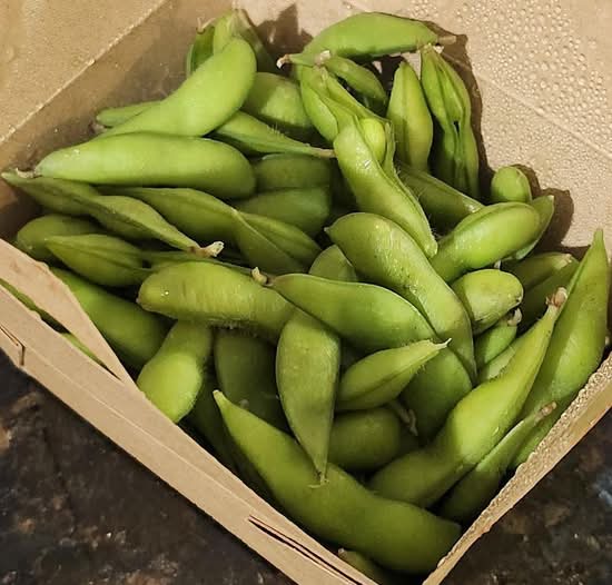 Edamame With Sea Salt