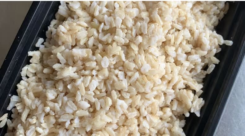 Bulk Brown Rice