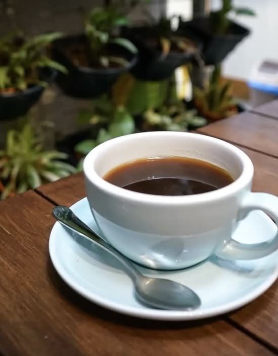 Café Con Leche / Coffee with Milk
