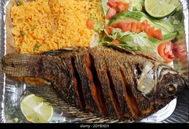 Fish