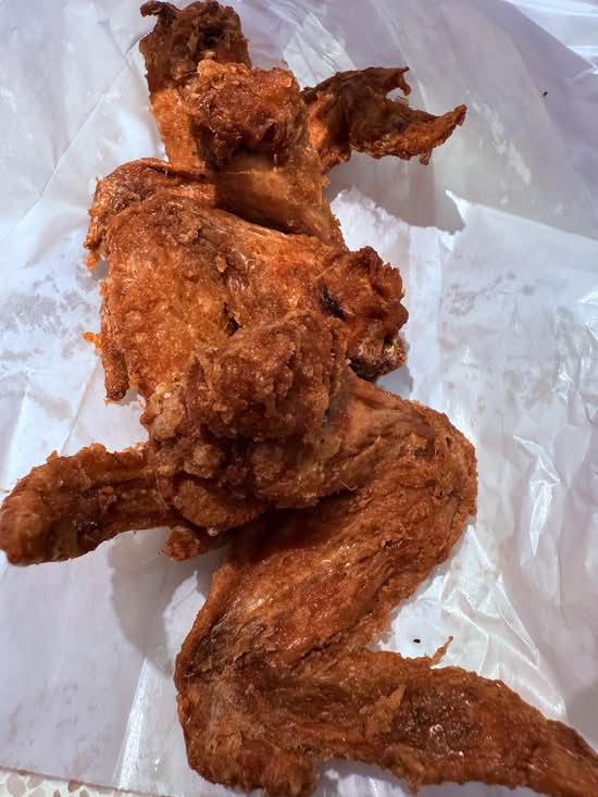 Fried Chicken Wings (Plain)