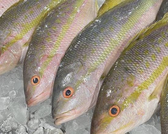 Yellow Tail Snapper SM