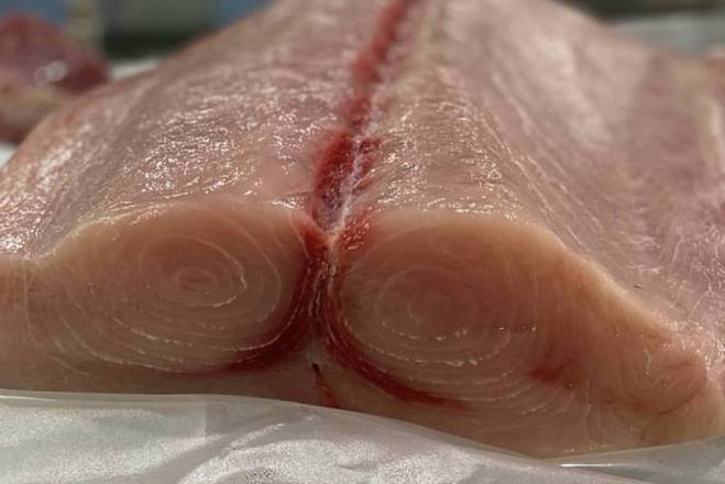 Sword Fish