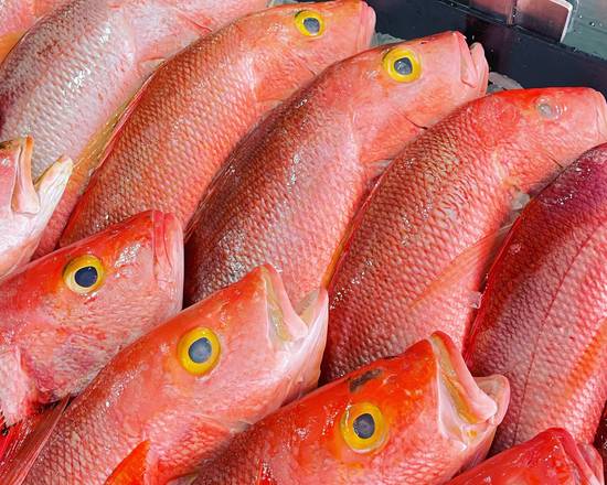 Red Snapper LG