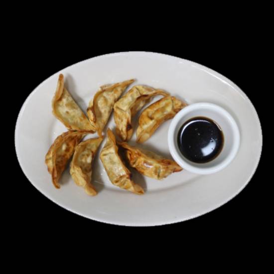 A3. Fried Chicken Dumplings