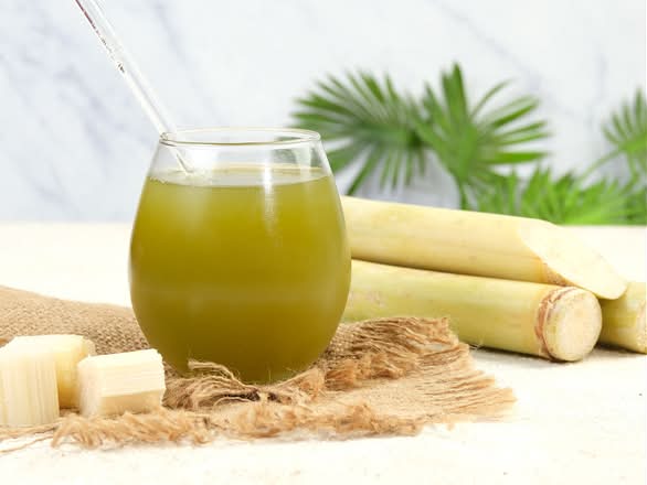 SUGARCANE