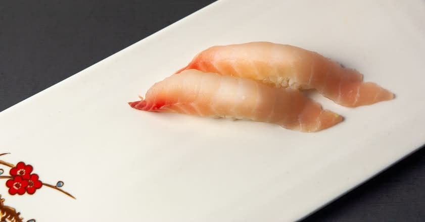 Red Snapper