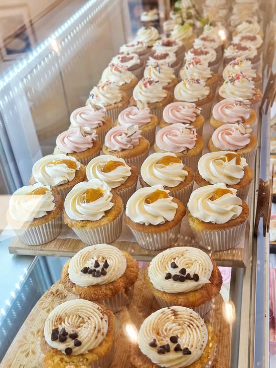 Assorted Cupcakes- 6 count