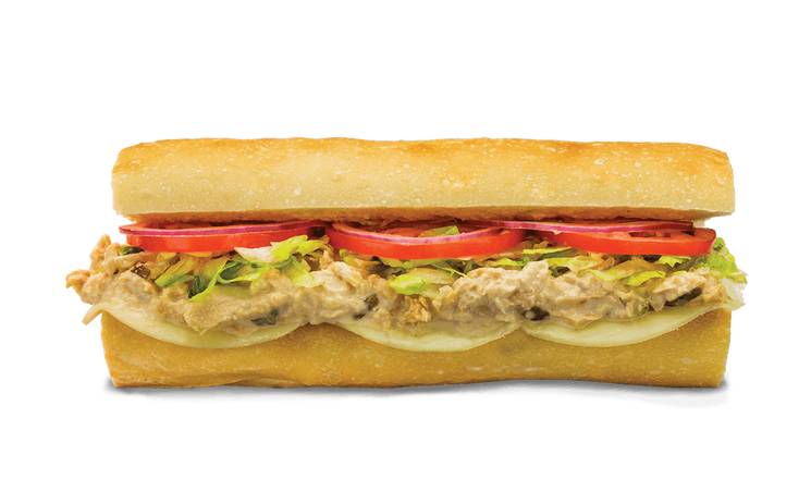 Classic Sub #17