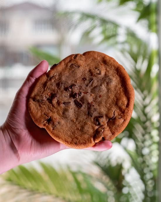 Jumbo Chocolate Chip Cookie