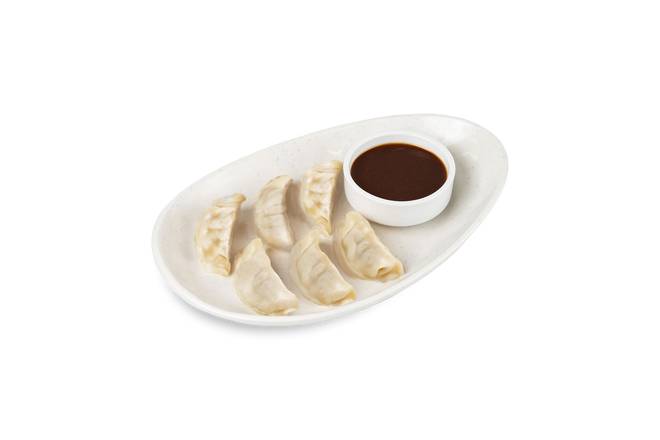 Chicken Dumplings