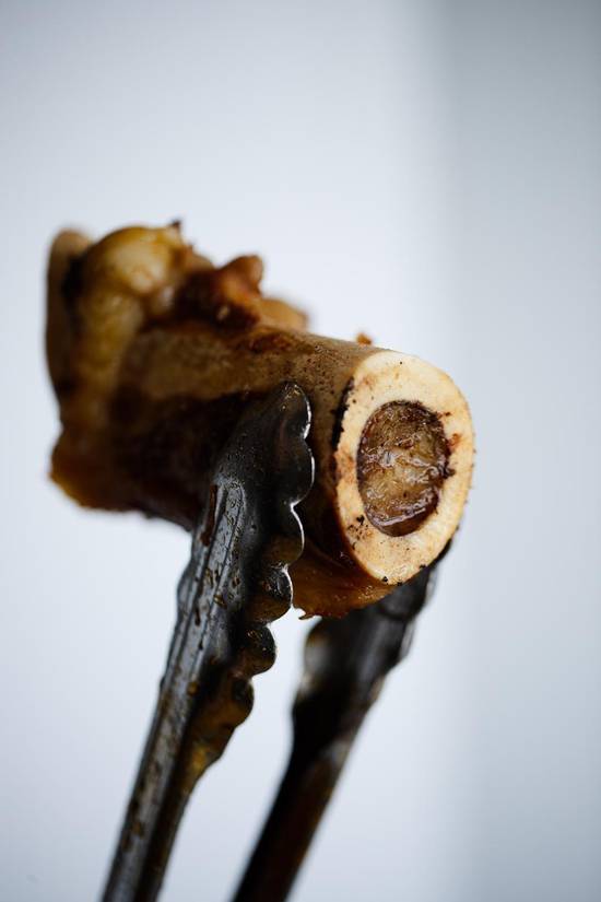 Bone Marrow