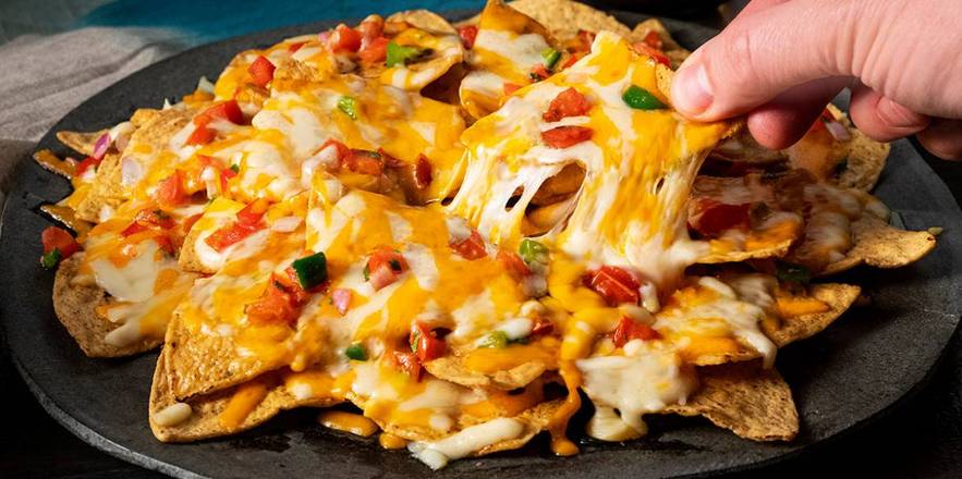 Asada Nachos SMALL