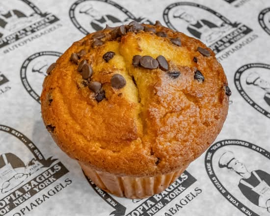 Chocolate Chip Muffin