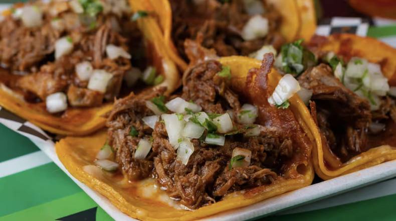 Queso Taco Birria (Harina)