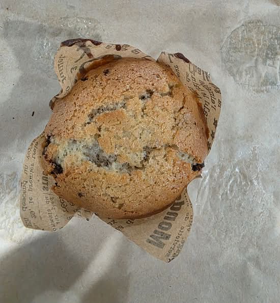 Chocolate Chip Muffin