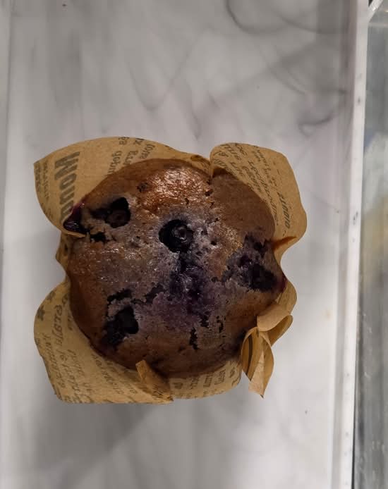 Blueberry Muffin