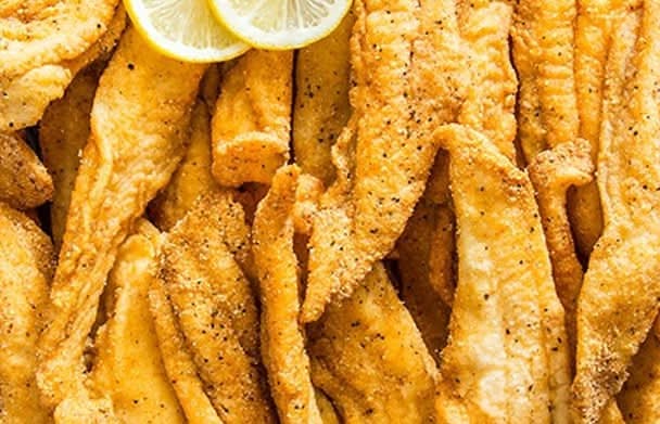 Catfish Fish