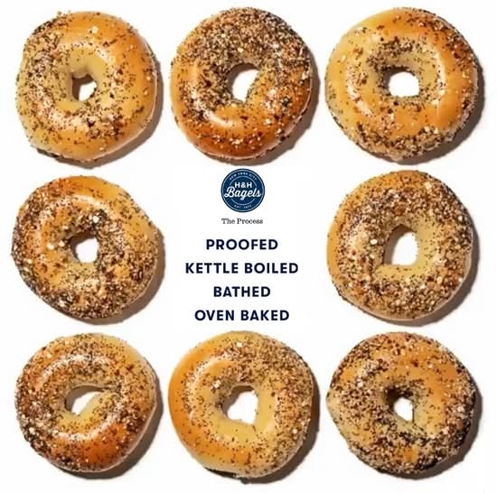 Everything Bagel 🥯