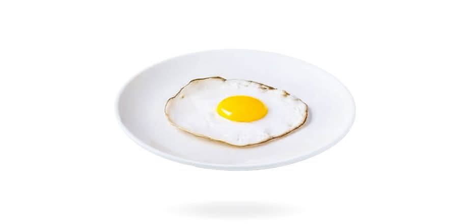 Egg