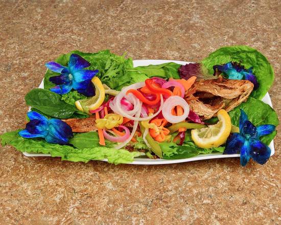 Snapper Fish