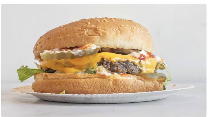 Hamburger
