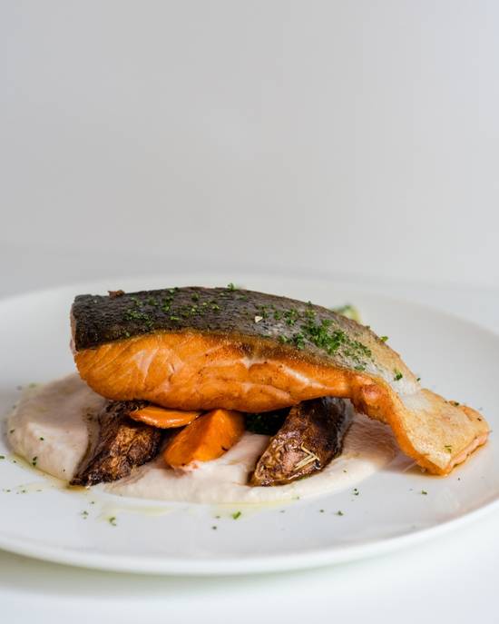 Salmon