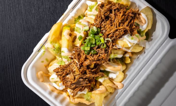Birria de Res Loaded Fries**
